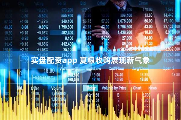 实盘配资app 夏粮收购展现新气象