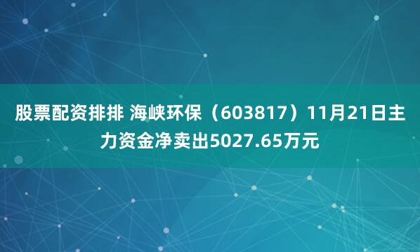 股票配资排排 海峡环保(603817)11月21日主力资金净卖出5027.65万元